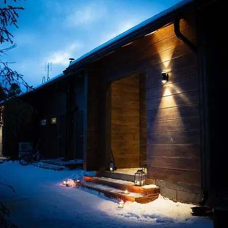 Black Work Levi Ahde Kittilä