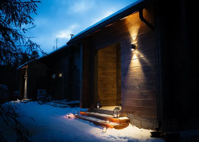 Black Work Levi Ahde Kittilä