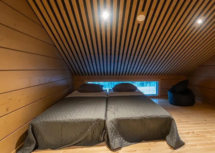 Black Work Levi Ahde Chalet