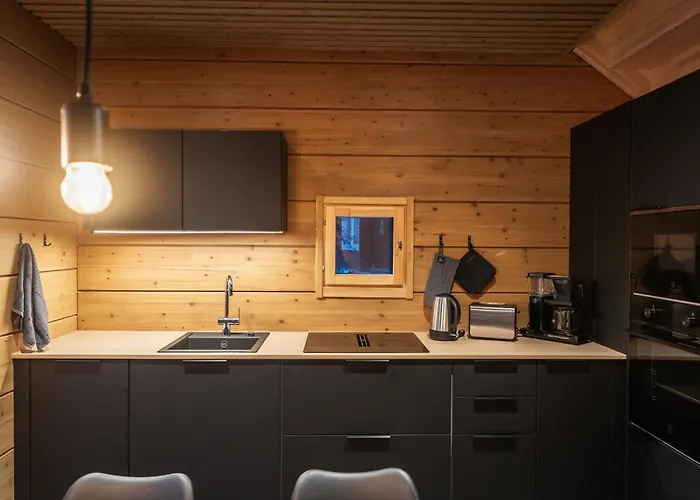 Chalet Black Work Levi Ahde *