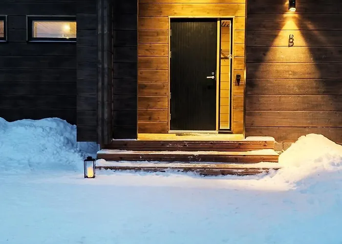 Black Work Levi Ahde Chalet